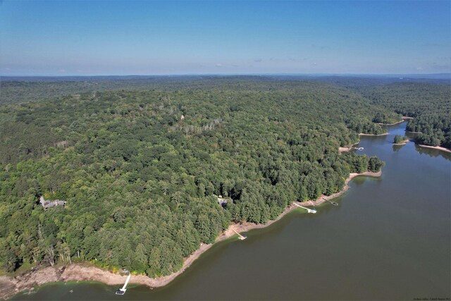LOT8 Woodstone Trl, White Lake, NY 12786 - photo 26