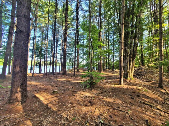 LOT8 Woodstone Trl, White Lake, NY 12786 - photo 10