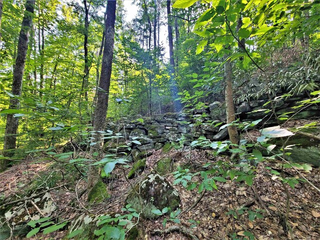 LOT8 Woodstone Trl, White Lake, NY 12786 - photo 17