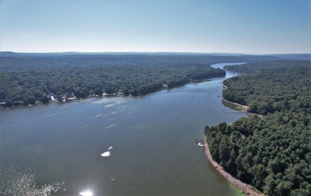 LOT8 Woodstone Trl, White Lake, NY 12786 - photo 27