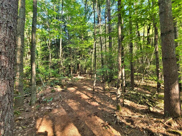 LOT8 Woodstone Trl, White Lake, NY 12786 - photo 19