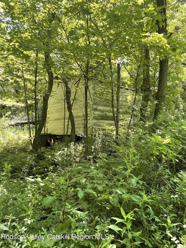149 Birch Ln, Ancramdale, NY 12503 - photo 20