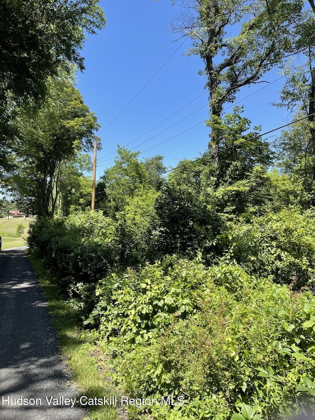 149 Birch Ln, Ancramdale, NY 12503 - photo 4