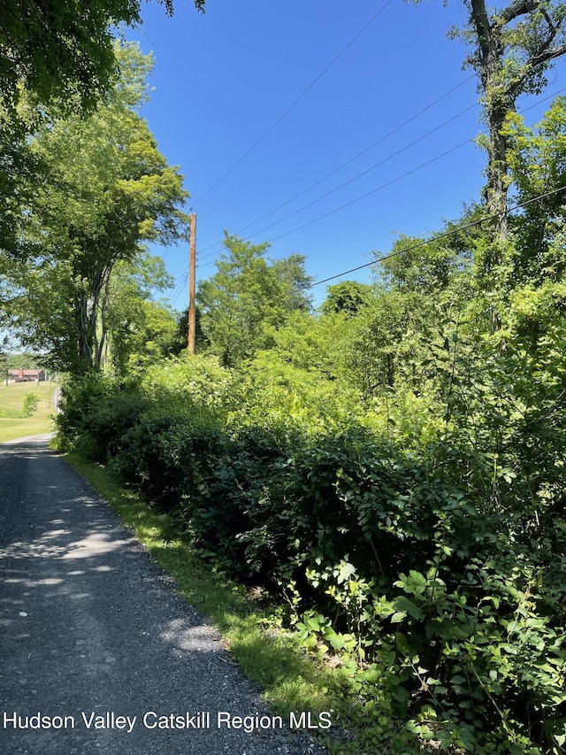 149 Birch Ln, Ancramdale, NY 12503 - photo 11