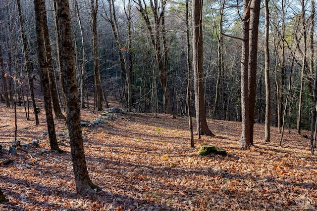 0 Riders Mills Rd, Old Chatham, NY 12136