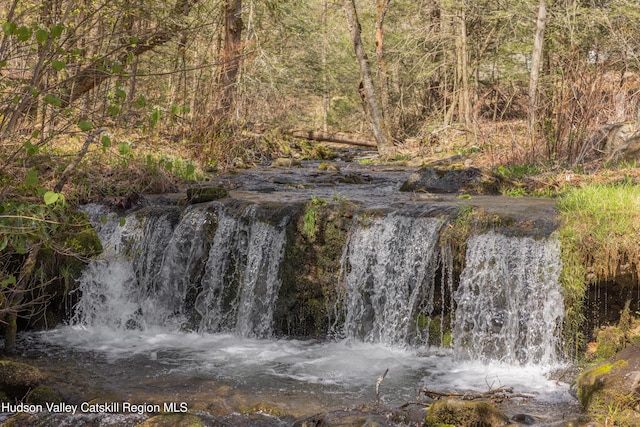 water view featuring a forest