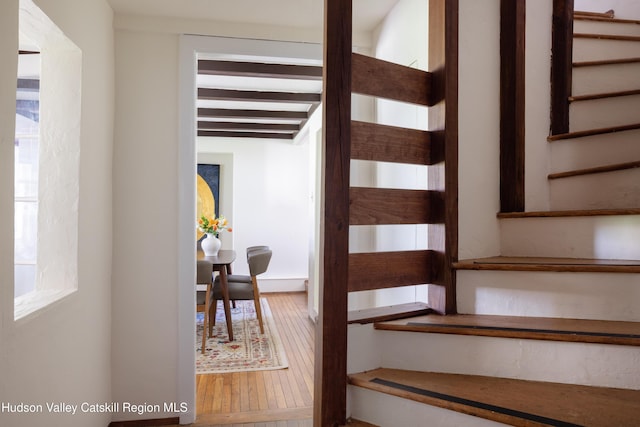 staircase featuring hardwood / wood-style floors