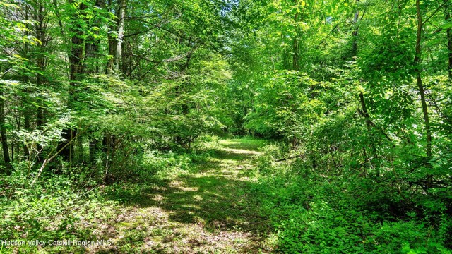 95 Miller Rd, Canaan, NY 12029 - photo 37