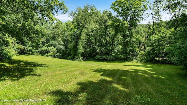 95 Miller Rd, Canaan, NY 12029 - photo 38