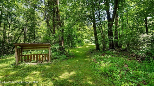95 Miller Rd, Canaan, NY 12029 - photo 36