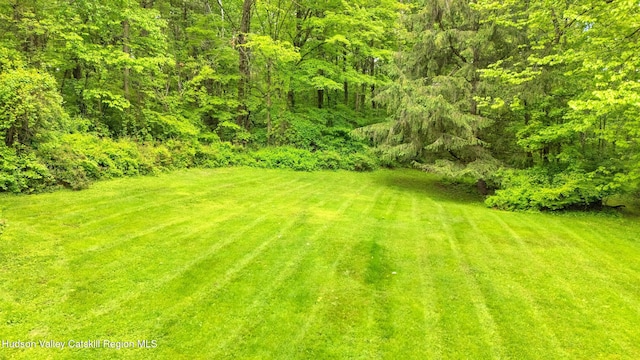 95 Miller Rd, Canaan, NY 12029 - photo 34
