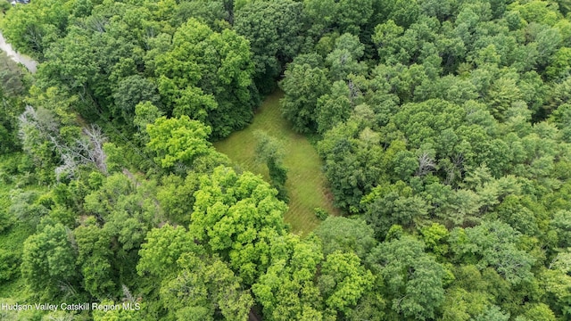 95 Miller Rd, Canaan, NY 12029 - photo 44