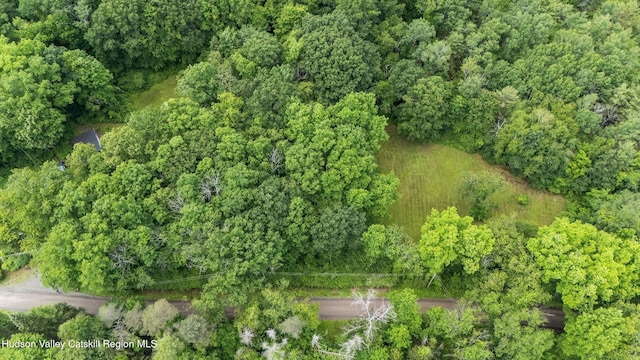 95 Miller Rd, Canaan, NY 12029 - photo 45