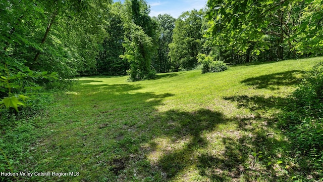 95 Miller Rd, Canaan, NY 12029 - photo 39