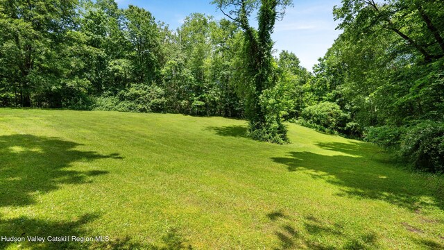 95 Miller Rd, Canaan, NY 12029 - photo 40