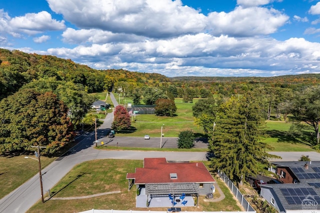 24 Brooks Ln, Catskill, NY 12414 - photo 26