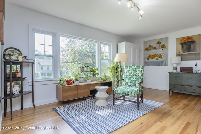 331 Joys Ln, Hurley, NY 12443 - sitting room featuring light wood-style flooring