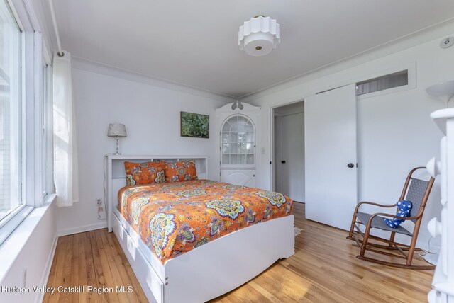 331 Joys Ln, Hurley, NY 12443 - bedroom with light wood-type flooring