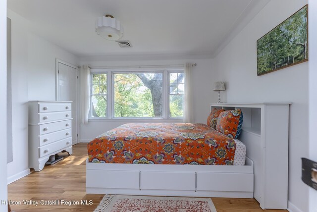 331 Joys Ln, Hurley, NY 12443 - bedroom with light wood-style floors