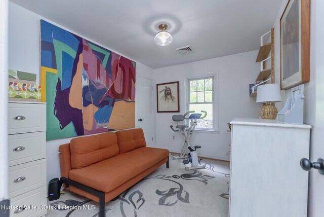 331 Joys Ln, Hurley, NY 12443 - living area with carpet