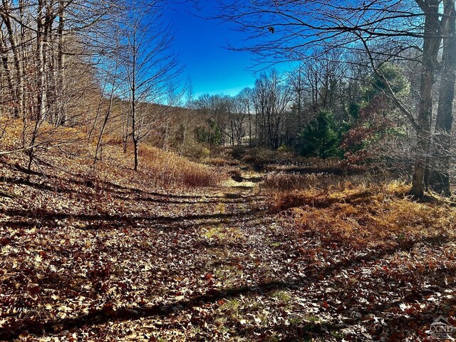 0 W Hill Rd, Austerlitz, NY 12017