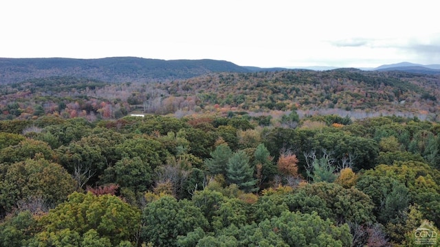 0 W Hill Rd, Austerlitz, NY 12017