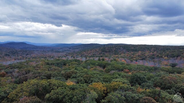0 W Hill Rd, Austerlitz, NY 12017