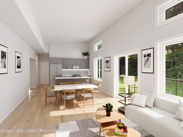 living room with a high ceiling, a wealth of natural light, and light hardwood / wood-style flooring