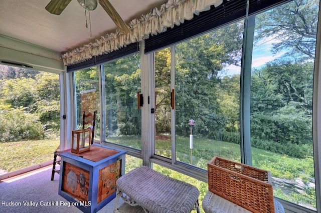 4520 State Route 66, Chatham, NY 12037 - photo 59