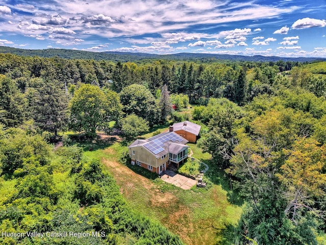 4520 State Route 66, Chatham, NY 12037 - photo 72