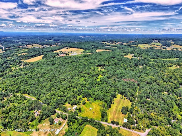 4520 State Route 66, Chatham, NY 12037 - photo 69