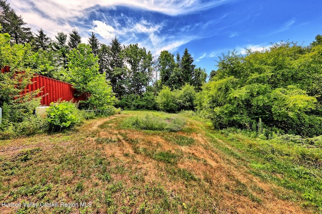 4520 State Route 66, Chatham, NY 12037 - photo 89