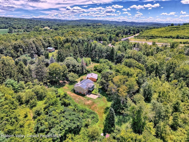 4520 State Route 66, Chatham, NY 12037 - photo 71