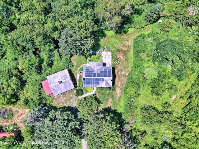 4520 State Route 66, Chatham, NY 12037 - photo 66