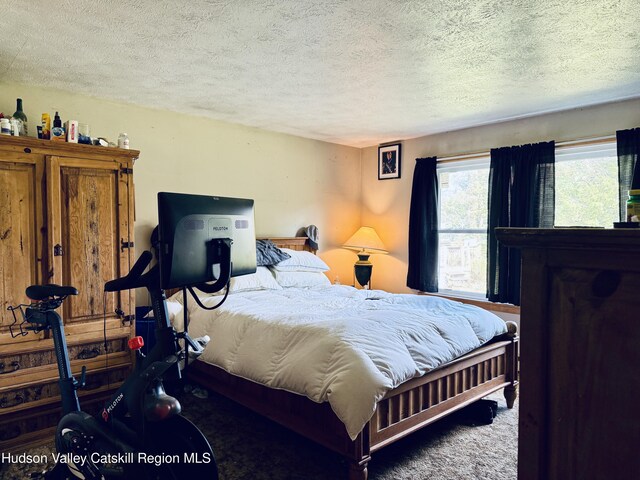 1004 Clum Hill Rd, Elka Park, NY 12427 - photo 15