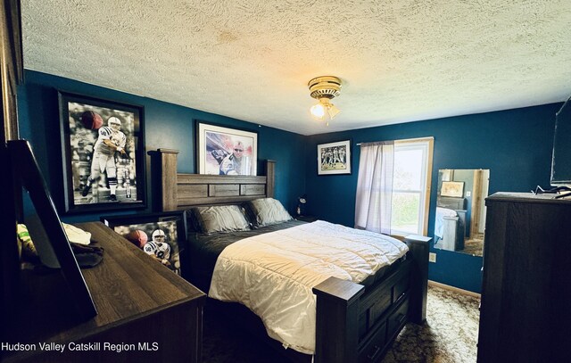 1004 Clum Hill Rd, Elka Park, NY 12427 - photo 16