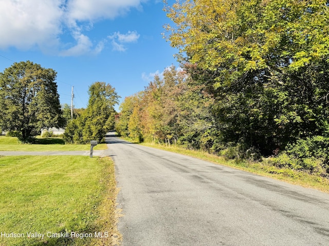 1004 Clum Hill Rd, Elka Park, NY 12427 - photo 26