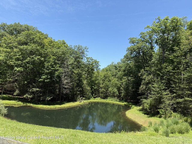 147 Moadock Rd, Millerton, NY 12546 - water view featuring a forest