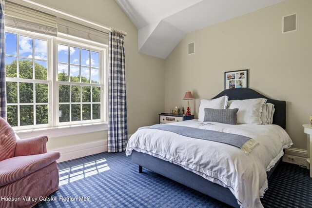 147 Moadock Rd, Millerton, NY 12546 - carpeted bedroom featuring lofted ceiling and multiple windows