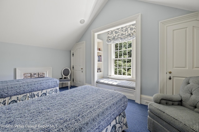 147 Moadock Rd, Millerton, NY 12546 - bedroom with lofted ceiling and dark colored carpet