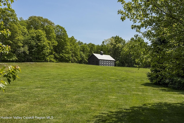 147 Moadock Rd, Millerton, NY 12546 - view of grassy yard with an outbuilding, a barn, and a forest view