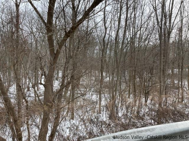 TBD Route 9w, Highland, NY 12528 - photo 4