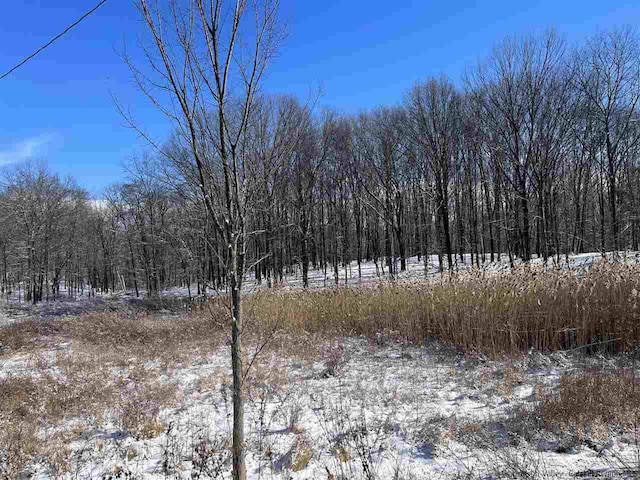 TBD Route 9w, Highland, NY 12528 - photo 3