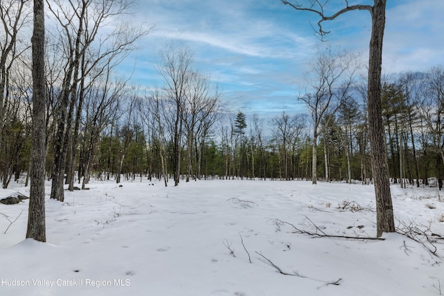 TBD Reilly Rd, Kingston NY, 12401 land for sale