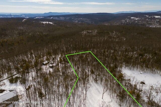 TBD Reilly Rd, Kingston, NY 12401 - photo 5