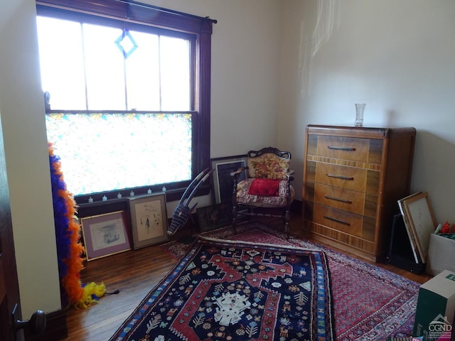 32-34 8th St, Hudson, NY 12534 - living area featuring plenty of natural light and wood finished floors