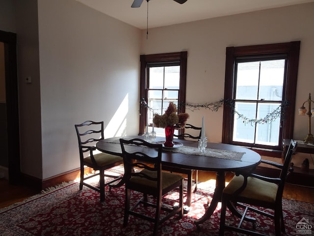 32-34 8th St, Hudson, NY 12534 - dining room featuring a ceiling fan, plenty of natural light, and wood finished floors