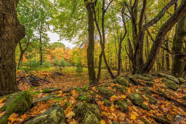 1013 Plank Rd, Averill Park, NY 12018 - view of tree filled area