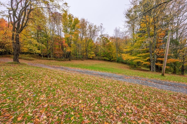 1013 Plank Rd, Averill Park, NY 12018 - view of green lawn featuring a wooded view