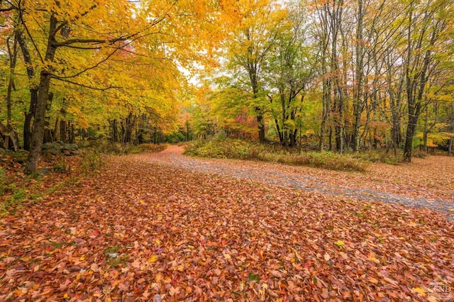 1013 Plank Rd, Averill Park, NY 12018 - view of road featuring a view of trees